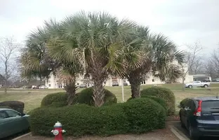 Storage near Irmo, SC