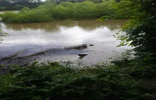 Storage near Lexington County, SC